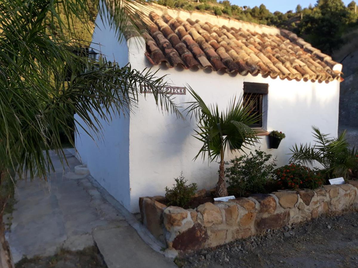 Tiny House 12M2 In Holiday Park With 55 M2 Pool Толокос Экстерьер фото